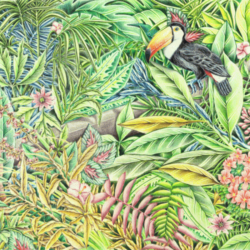 Häshcut : Где здесь стонердум? Häshcut : Где здесь стонердум?